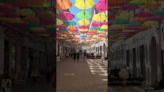 UMBRELLA STREET &bull; TIMISOARA, ROMANIA 🇷🇴
