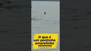pontinho amarelinho