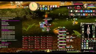 Shaiya Tactics PVP - BP