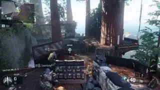 A gift from Treyarch