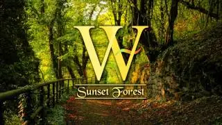 VVish - Sunset Forest (HD)