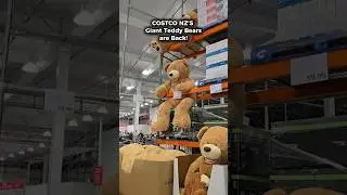 Costco New Zealand's Giant Teddy Bears are back but cost an eye watering $499.99!