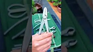 K&igrave;m uốn Bonsai đa năng (Lh O987.658.37O)