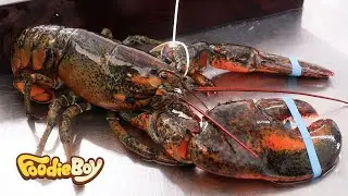 Вьетнамская подборка морепродуктов