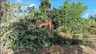 Mulai Pengingat Randau Diri Menyadi Ba Tanah Pesaka
