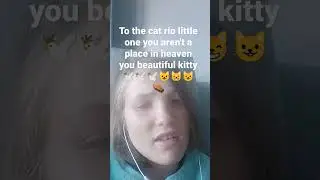 rip little one...😸⚰️😺😸