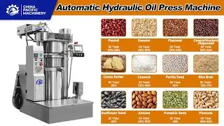 Automatic Cold & Hot Hydraulic Oil Press Machine|Oil Expeller|Oil Making Machine|Oil Extraction