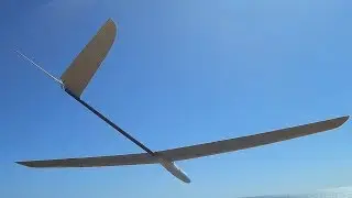 Art Hobby Skua - Flight