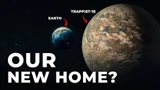 Life On TRAPPIST-1E: The Ultimate Extraterrestrial Experience