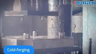 BERGEK Cold forging for Aluminum heatsink