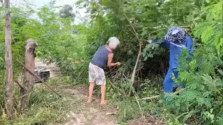 Touched by the kindness of the 80-year-old Woman who helped us clean the sidewalk on a Hot Summer