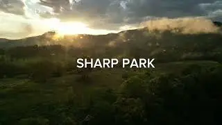Sharp Park River Bend Bush Camping - South East Queensland