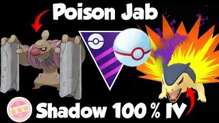 100% IV SHADOW TYPHLOSION COOKS THE MASTER LEAGUE PREMIER META FT Metagross & Conkledurr