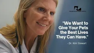 Leading Veterinary Care in College Station TX | We Love Pets [2021]