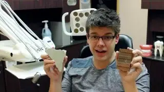 Alex Goes To The Dentist - Episode 2