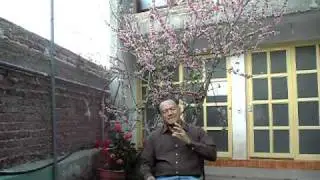 Dr. Jos&eacute; Maria Melgar Callejas presentando los libros sobre Tonacatepeque.AVI
