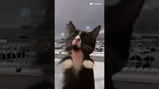 Video mio 🩷