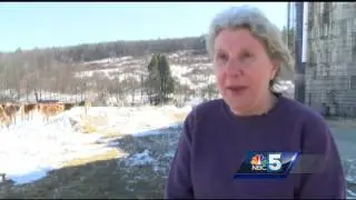 Struggling family dairy farm seeks help after husband's death