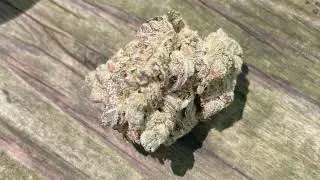 HillFire 