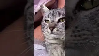 Purring machine - Gjarperushe