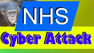 How did the NHS Virus Cyber Attack Spread so Quickly? - By Thingy Animations