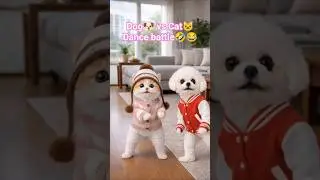 Cute Dance Battle: Dog🐶 vs Cat🐱?#cute #funny #dog#cat#dancebattle
