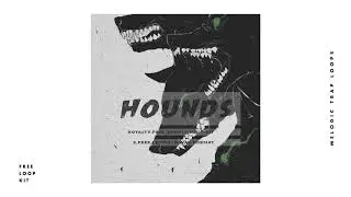 [FREE] Melodic Trap Loop Kit Sample Pack - 'HOUNDS' | Royalty Free Loops (Hitboy Type Samples)
