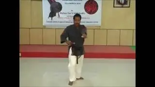 Ryu Kyu Kobudo Hozonkai India - Promo video