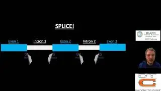 Genetic Mutations Explained - HLRCC science lecture #2