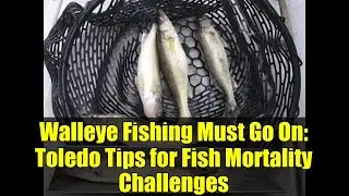 Walleye Fishing Must Go On: Toledo Tips for Fish Mortality Challenges