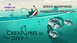 Creatures of the deep &ndash; Green Humphead parrotfish, Poisson perroquet, Peixe-papagaio (paradise) spot