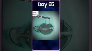 Random Word Generator: Day 65 #art #challenge #animation