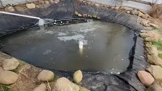 Duck ponds frozen.
