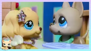 LPS Love Story - Love is Blind (Episode #14: The Get Together)