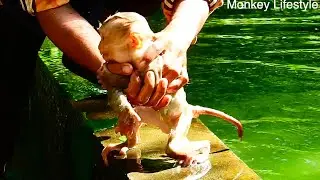 Mr Bros take a bath for orphan BB Angela because she cover full of mud & milk  whole body