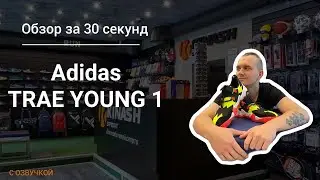 Обзор с озвучкой | Adidas TRAE YOUNG 1