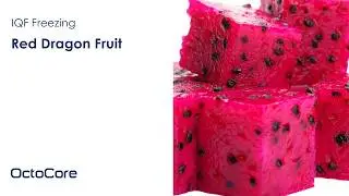 OctoFrost&trade; IQF Freezing Red Dragon Fruit
