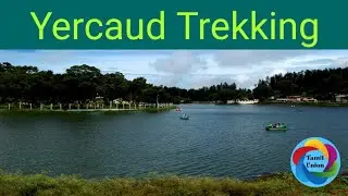 Yercaud Trekking