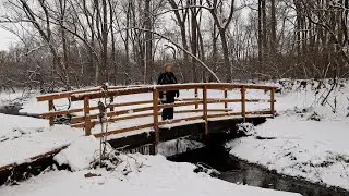 Наблюдение за дикими животными на лугах Килалли вдоль реки Темзы.