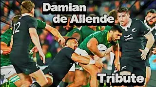Damian de Allende Tribute - Springboks Most Dominant Rugby Centre #sports #rugby 