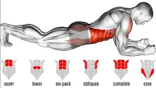 Complete Abdomen Workout |Workout Animation|#abs #six_pack #oblique