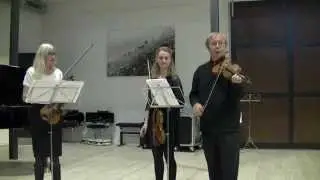 Kim Sj&oslash;gren & Mors&oslash; Suzuki Skole koncert november  2014