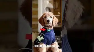 CUSTOM MADE DOG/CAT TAGS