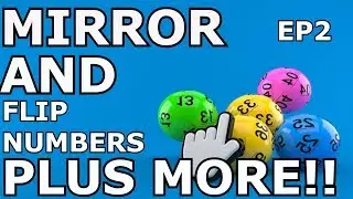 Mirror And Flip Numbers