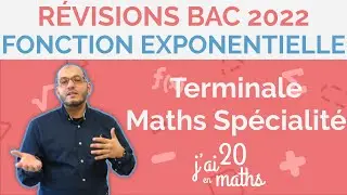 Révision sujet bac 2022 - Fonction exponentielle  - Terminale Maths Spécialité