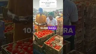 Would you like to order some tomatoes?    #africa #bull  #tomatoes #market #foodmarket