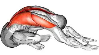 ⚡By Doing This Exercise you Will Experience a Different kind of Energy! 💪(Do This Daily)