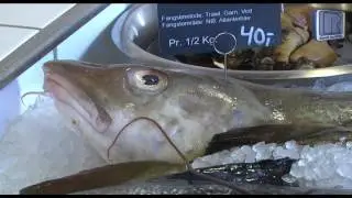 Med p&aring; job - fiskehandler