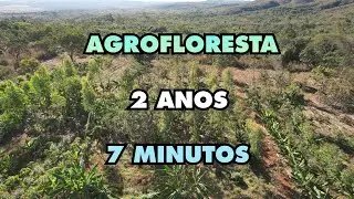 Agrofloresta , 2 anos em 7 minutos!!