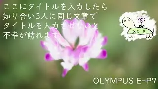 OLYMPUS E-P7 で昔の鉄道の名残を撮ったりした曇天 スチルとうろつき #25